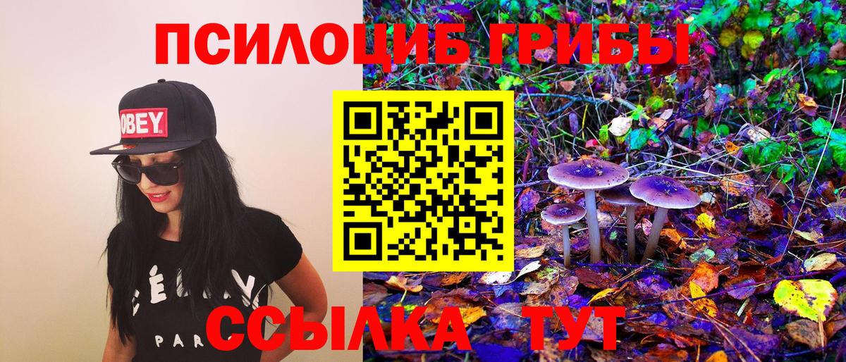 Щёкино  Галлюциногенные грибы прущие грибы  Вход с VPN 